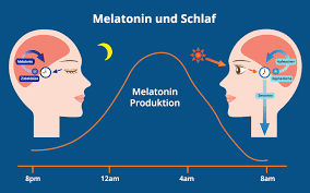 melatonin dosierung